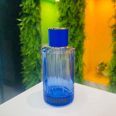 100ml fancy perfume bottel - Modle No 450